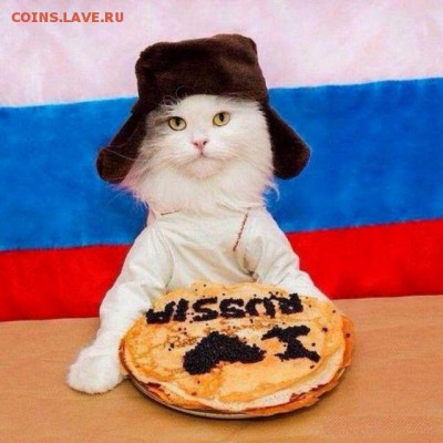 юмор - podborkz