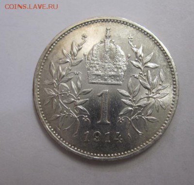 1 корона Ав-Венгрия 1914  до 20.05.17 - IMG_0761.JPG