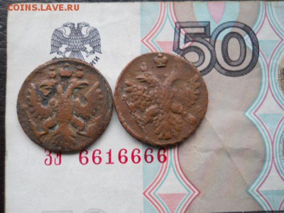 Полушки 1735г и 1739г до 24.05.2017г 22.00 мск - SSCN1407.JPG
