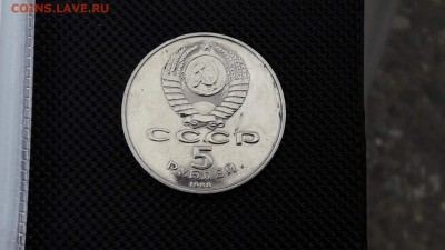 Петродворец - IMG_20170518_111950_3