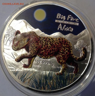 Большая пятерка Африки.Леопард 2008 г. До 15.5.17 в 22.00 - IMG_8586.JPG