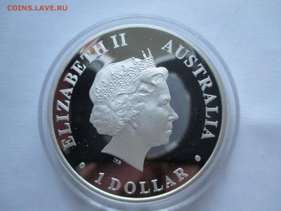 1 $ 2012 Австралия лягушка до 24 5  17   22 00 мск - IMG_0081.JPG