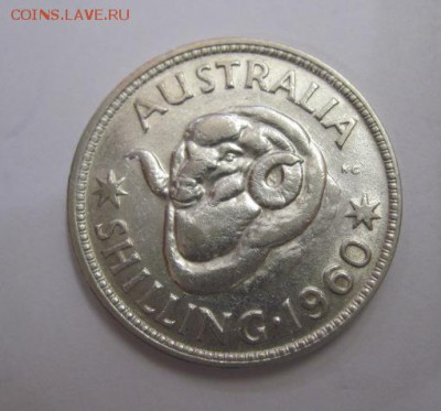 1 шиллинг Австралия 1960   до 21.05.17 - IMG_0797.JPG