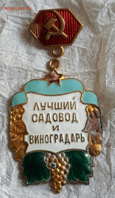 Лучший Садовод и виноградарь. До 23.05.2017 в 22.10 - 20170519_154854