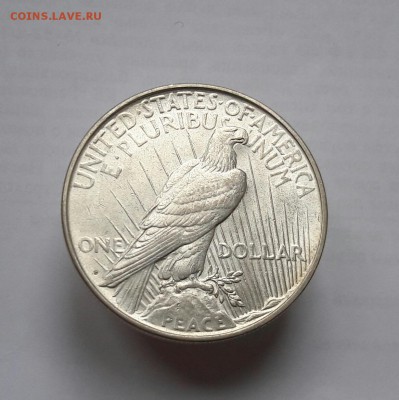США 1 доллар 1923  (Мирный)  UNC до 22.05 22:00 - 20170509_162415