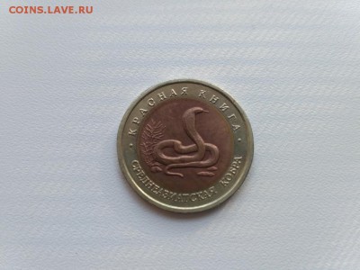 КК)!до21.05.2017 - IMG_20170519_181355