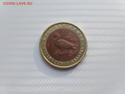 КК)!до21.05.2017 - IMG_20170519_181339