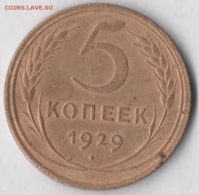 5 копеек 1929 - 5 29