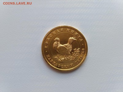 РОССИЯ,50 рублей 1993г(Кавказский тетерев)!до 21.05.2017 - IMG_20170519_181415
