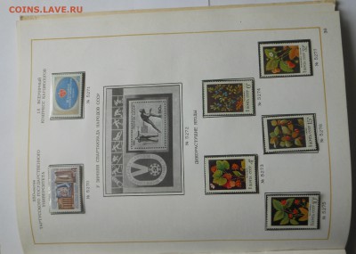 Альбом 1980-82 г. и блоки СССР - оценка - DSCN7475.JPG