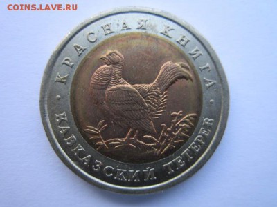 с 200 кк 1993 Тетерев  до 25.05.2017 в 22:30 - IMG_3477.JPG