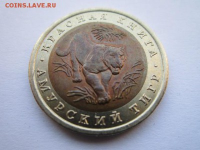 с 200 кк 1992 Тигр до 25.05.2017 в 22:30 - IMG_3482.JPG