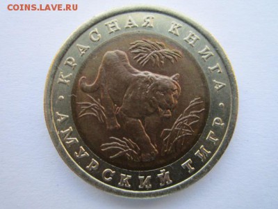 с 200 кк 1992 Тигр до 25.05.2017 в 22:30 - IMG_3481.JPG