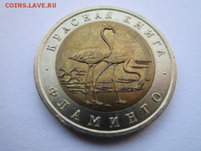 с 200 кк 1994 Фламинго до 25.05.2017 в 22:30 - IMG_3490.JPG