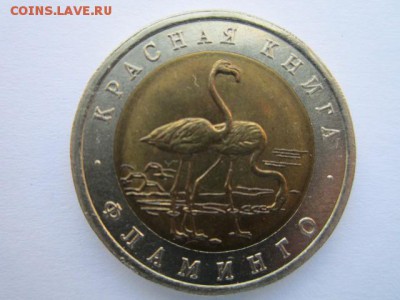 с 200 кк 1994 Фламинго до 25.05.2017 в 22:30 - IMG_3489.JPG