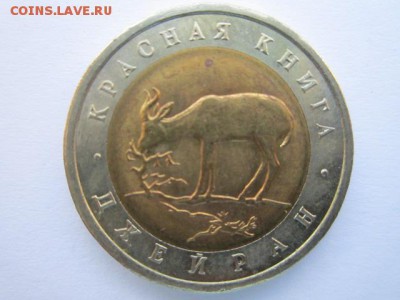 с 200 кк 1994 Джейран до 25.05.2017 в 22:30 - IMG_3485.JPG