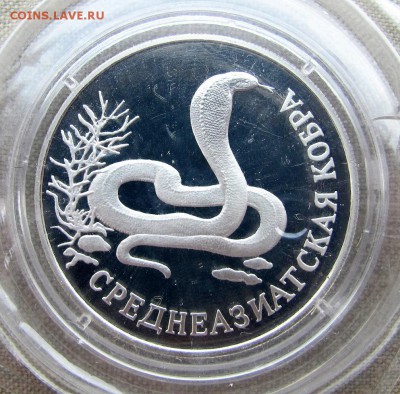 1 рубль 1994 года. Среднеазиатская кобра. Ag. До 24.05.17 - 3