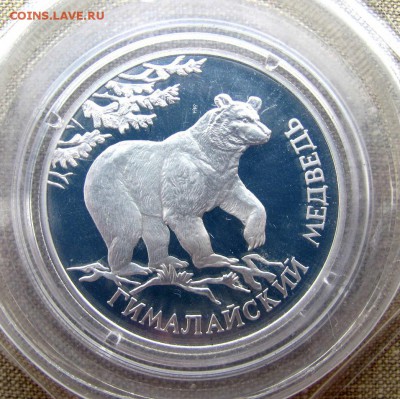 1 рубль 1994 года. Гималайский медведь. Ag. До 24.05.17 - 5