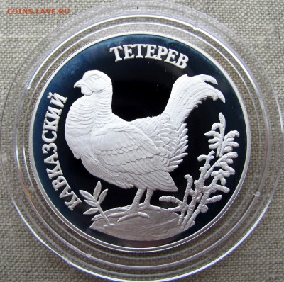 1 рубль 1995 года. Кавказский тетерев. Ag. До 24.05.17 - IMG_8346.JPG