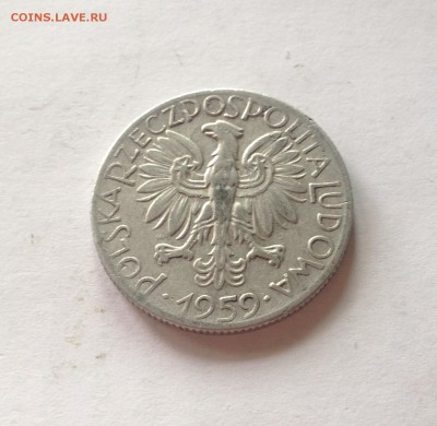 5 злотых Польша , 1959г. , до 27.05.17г. - 5 злотых-1