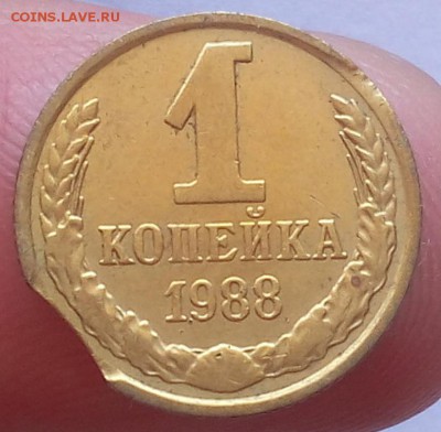 1 копейка 1988г Выкус - IMG_20170521_144550.JPG