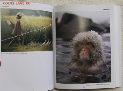 Книга Фотографии великих фотографов 20 века до 26.05 - IMG_2890.JPG