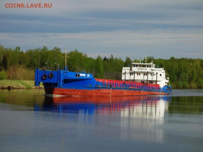 ФОТО - просто фото. Те что получились удачными. - DSC09225 — копия.JPG
