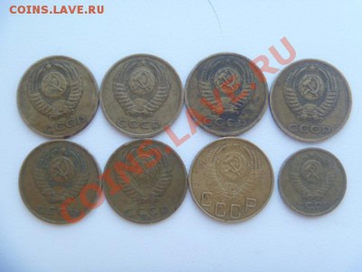 помогите оценить - P1020293.JPG