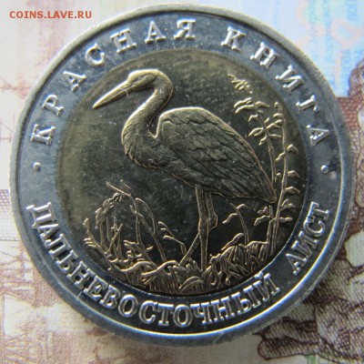КРАСНАЯ КНИГА - 1993 год, до 27 мая (лот №1). С 200 рублей! - IMG_5356.JPG