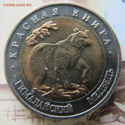 КРАСНАЯ КНИГА - 1993 год, до 27 мая (лот №1). С 200 рублей! - IMG_5352.JPG