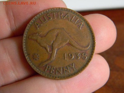 пенни австралия 1938 - DSCN0136.JPG