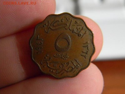 5 миллим египет 1943 - DSCN0205.JPG