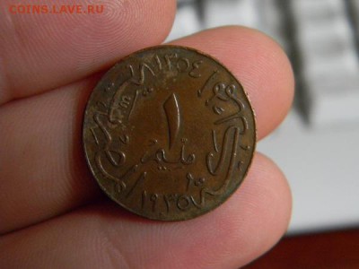 миллим египет 1935 - DSCN0215.JPG