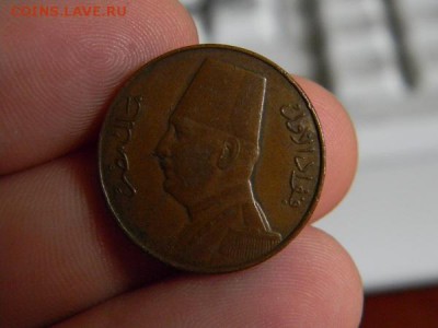 миллим египет 1935 - DSCN0216.JPG
