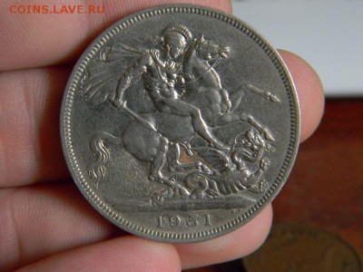 крона 1951 - DSCN0201.JPG