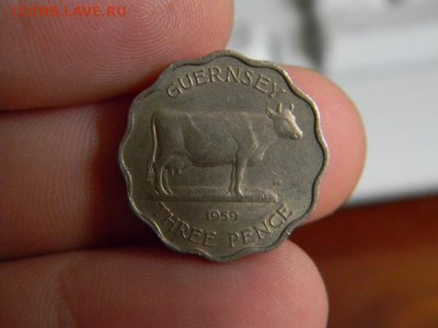3 пенса гернси 1959 - DSCN0225.JPG