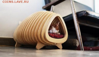 делает - прямо сейчас !!! - IMG_4038.JPG