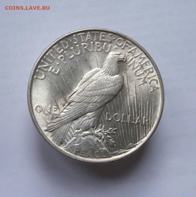 США 1 доллар 1922 (Мирный) UNC до 27.05 22:00 - 20170509_162441