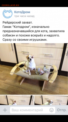 делает - прямо сейчас !!! - IMG_4109.PNG