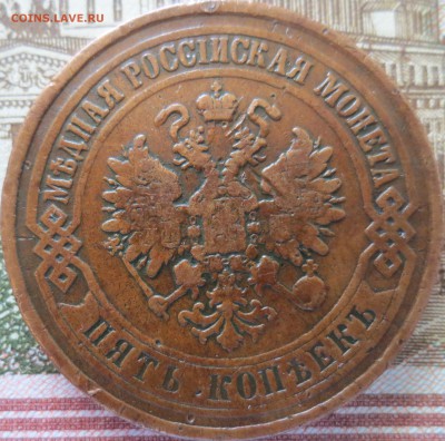 5 копеек 1875 Е.М. в родной патине до 28.05 - IMG_3389.JPG