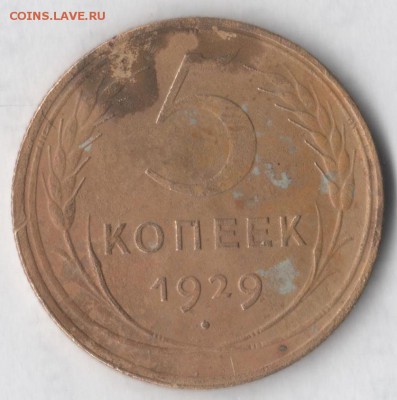 5 копеек 1929 - 5 29