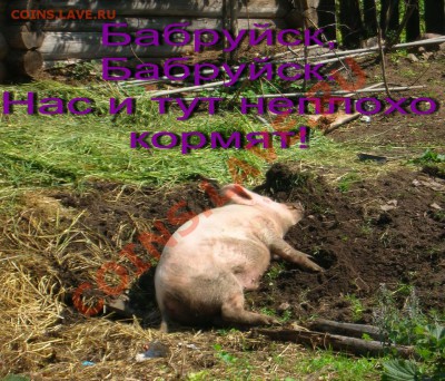 "Ф Бабруйск, Животное!" Творческий конкурс! 16.02.11 в 20:00 - 02