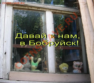 "Ф Бабруйск, Животное!" Творческий конкурс! 16.02.11 в 20:00 - 01