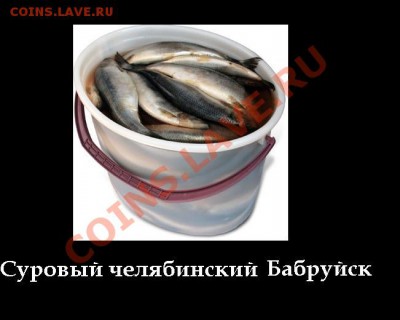"Ф Бабруйск, Животное!" Творческий конкурс! 16.02.11 в 20:00 - 16_03_bg