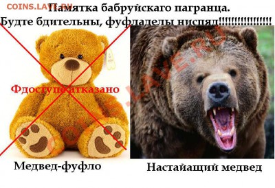 "Ф Бабруйск, Животное!" Творческий конкурс! 16.02.11 в 20:00 - 643476_normal