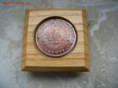 Островная Португалия - 100_3378.JPG
