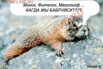 "Ф Бабруйск, Животное!" Творческий конкурс! 16.02.11 в 20:00 - Бобруйск