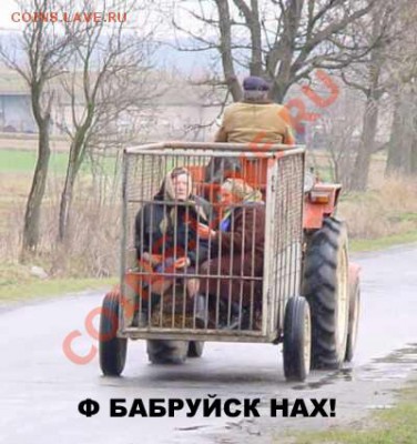 "Ф Бабруйск, Животное!" Творческий конкурс! 16.02.11 в 20:00 - Ф Бобруйск