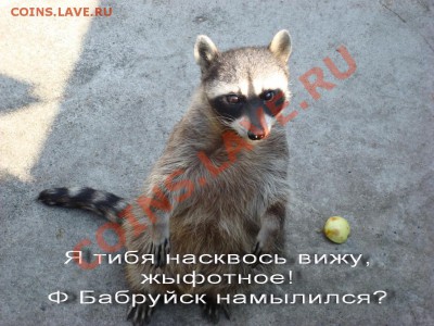 "Ф Бабруйск, Животное!" Творческий конкурс! 16.02.11 в 20:00 - 03