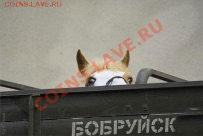 "Ф Бабруйск, Животное!" Творческий конкурс! 16.02.11 в 20:00 - Kon_poezd